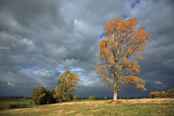 storm2