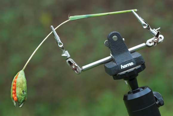 Third hand macro tool Third hand macro tool