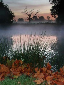 Kevin Day Mist Kevin Day Mist