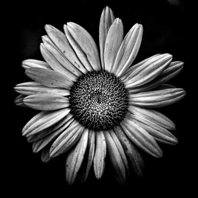 amateur photography gallery Amateur photography gallery