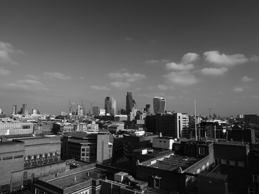 Polariser filter