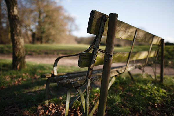 Sigma 24mm bokeh