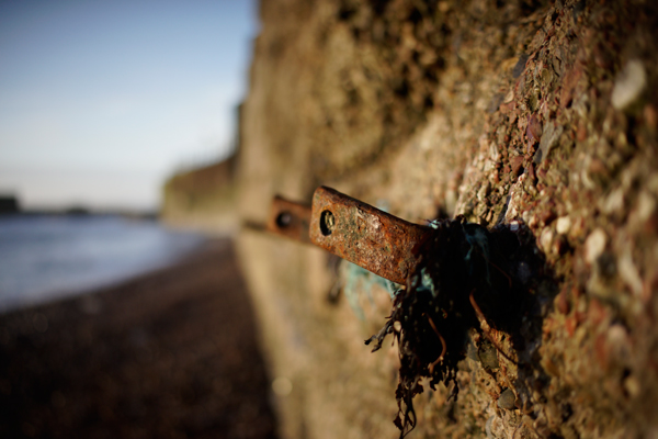 Shot with the Zeiss Distagon T* 35mm f/1.4 lens, at f/1.4