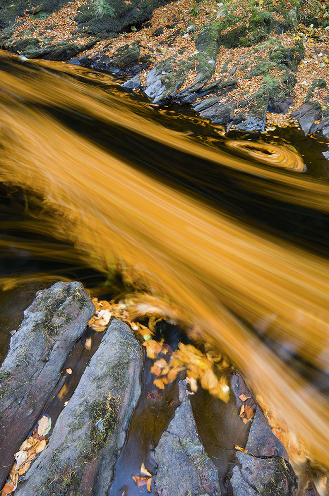 Gannochy-Gorge,-leaves-on-river