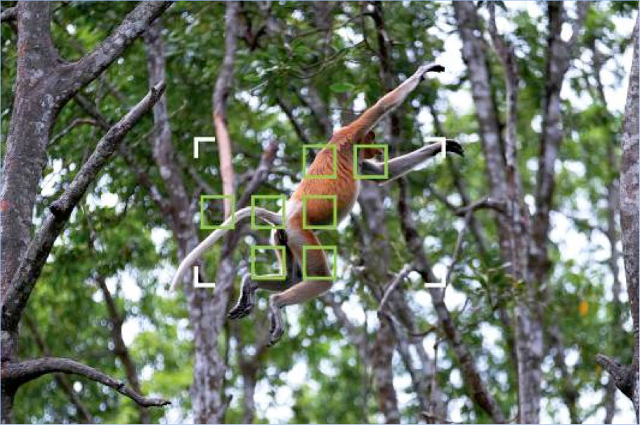 Zone mode (monkey not included)