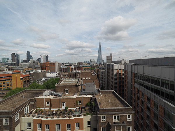 Olympus 7-14mm f/2.8 on OM-D E-M5 II at 7mm