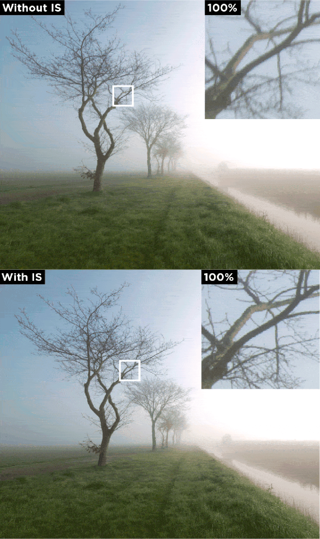 with-and-without-IS