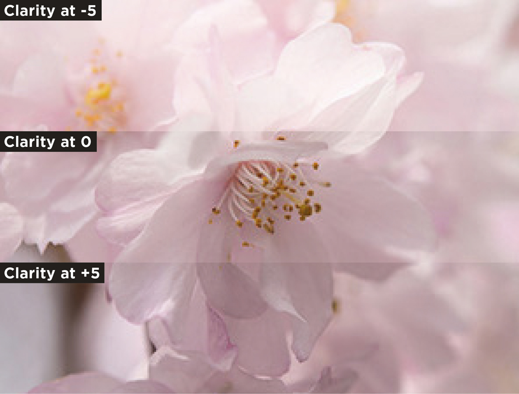 Nikon Picture Control settings