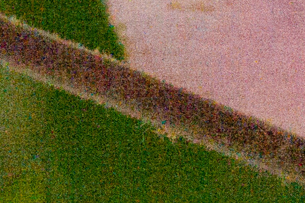 Leica S (Typ 007) + 120mm f/2.5 lens, ISO 12,500 f/8, 100% crop