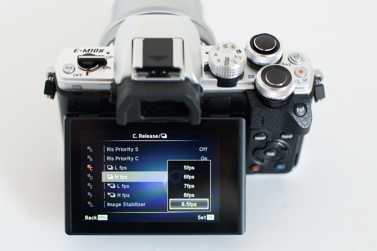 18 differences between the Olympus OMD EM10 II vs the EM5 II