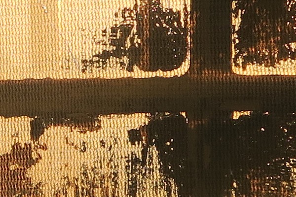 100% crop from above; ISO 125, 1/125sec f/4, 35mm equivalent
