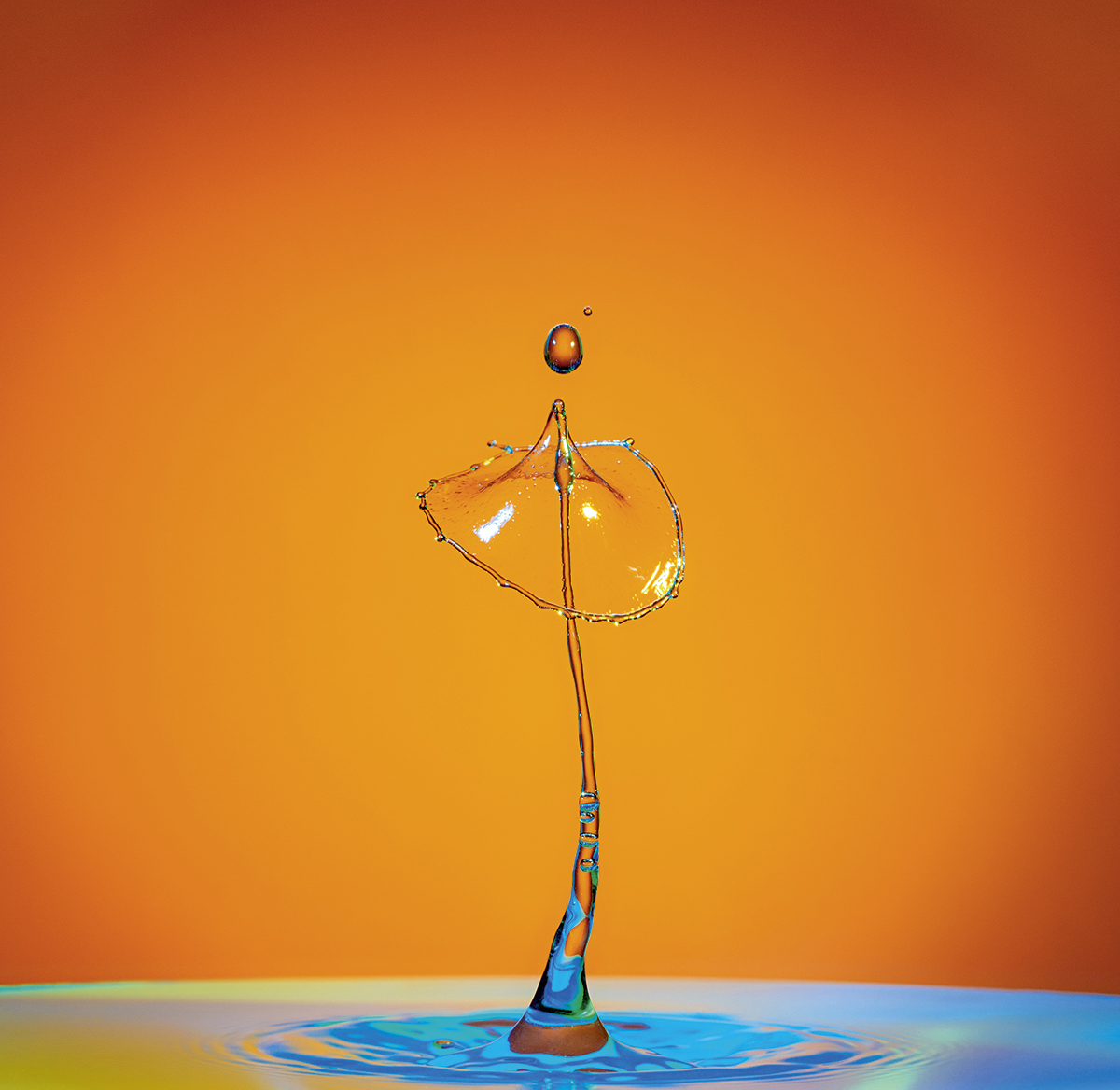 The best images of the 158th Royal Photographic Society international