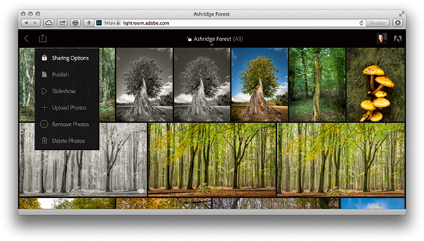 Lightroom mobile sync