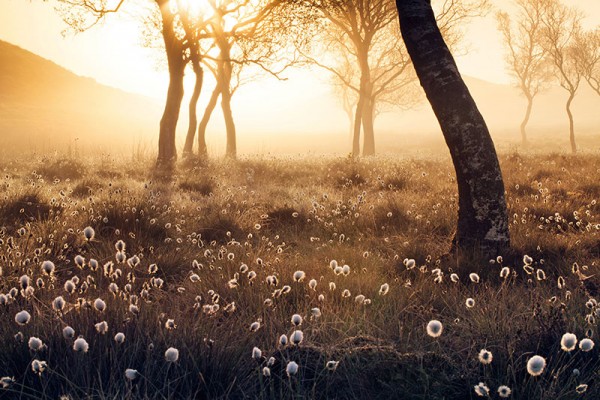 Amateur Photographer of the Year 2016