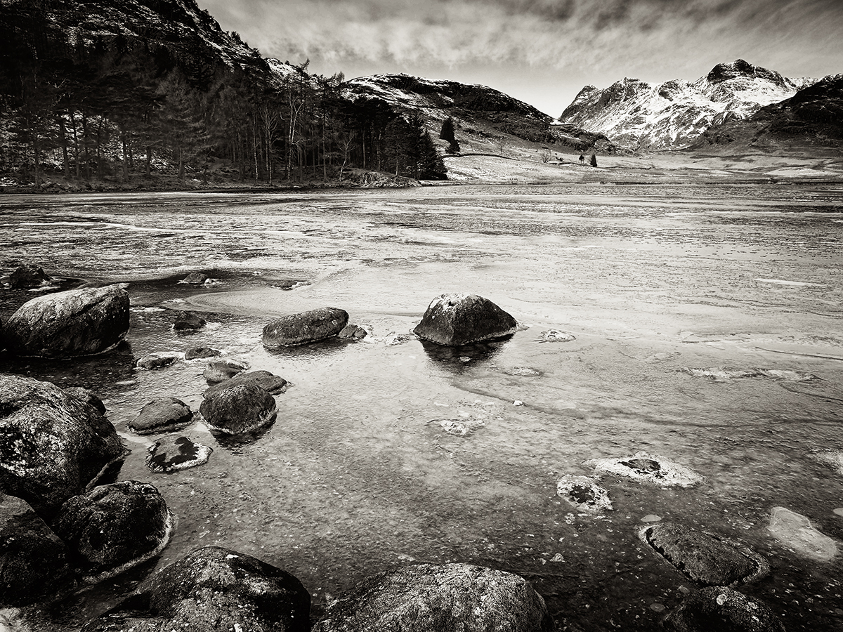 Gripped by Winter