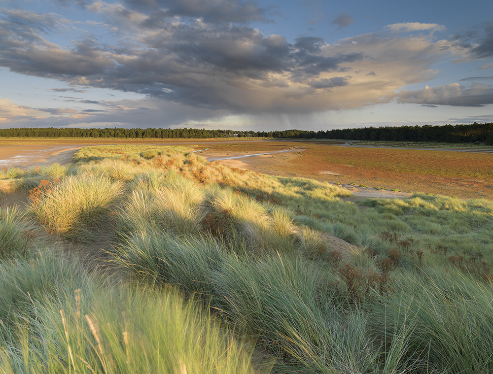 Holkham-National-Nature-Reserve,-John-Gibbs
