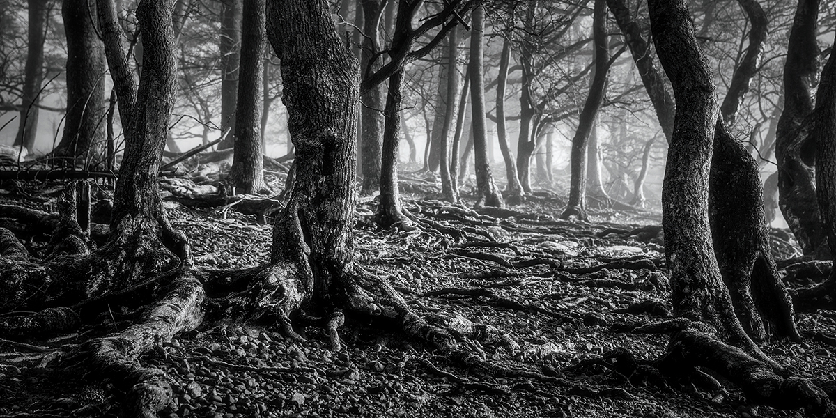 Shooting without a tripod and at f/5.6 meant it was possible to work quickly