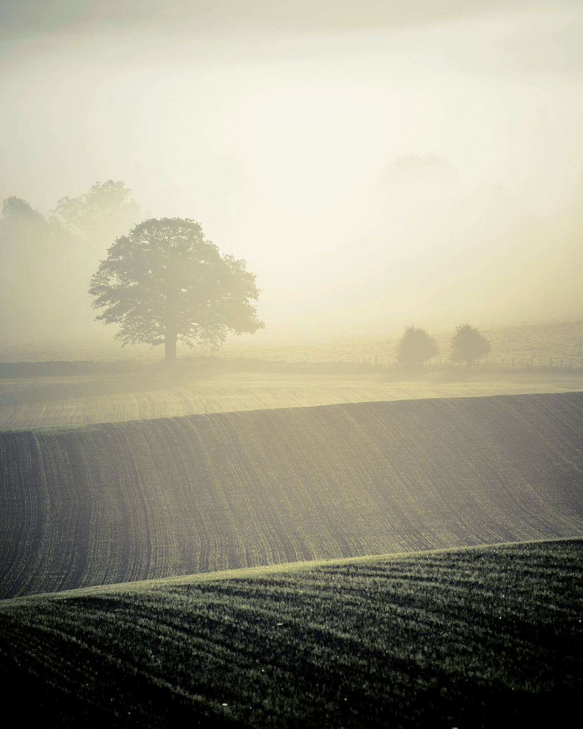 Shooting at f/5.6 can add a real sense of depth to your images