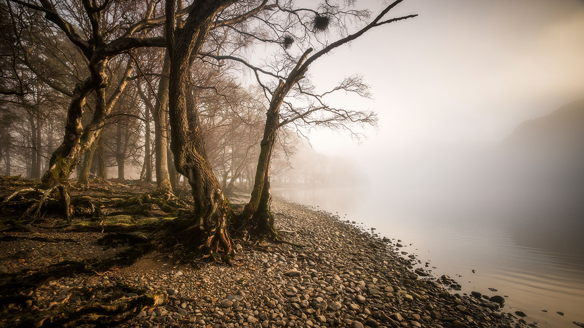 Allow for space in an image to enhance the context and meaning of a composition