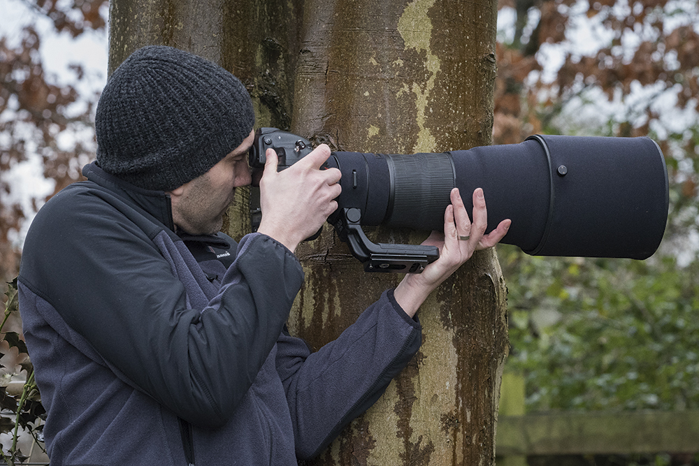 long-lens-bracing-tree