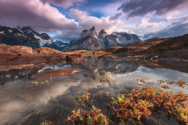 Image Name: Eden's Garden Copyright: Adriano Neves, Winner, Portugal, National Award, 2016 Sony World Photography Awards