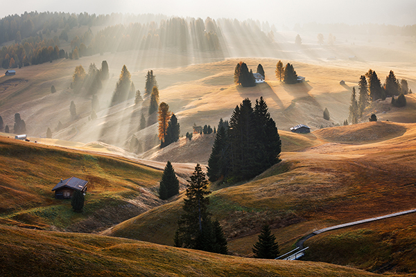 Image Name: Radiance Copyright: Martin Rak, Winner, Czech Republic, National Award, 2016, Sony, World, Photography, Awards