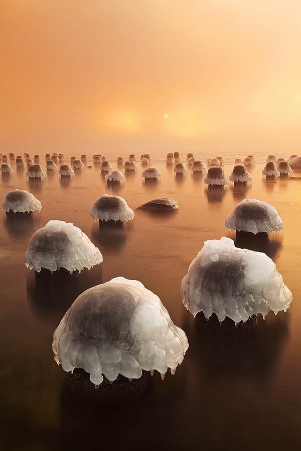 Image Name: Cold hats Copyright: Andrei Reinol, Winner, Estonia, National Award, 2016, Sony, World, Photography, Awards