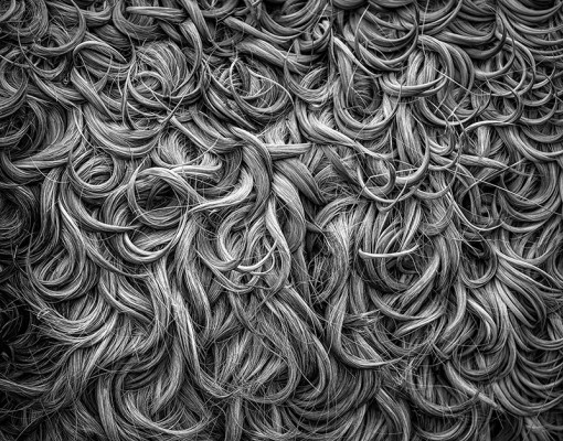 APOY 2016 Round 1: Abstract
