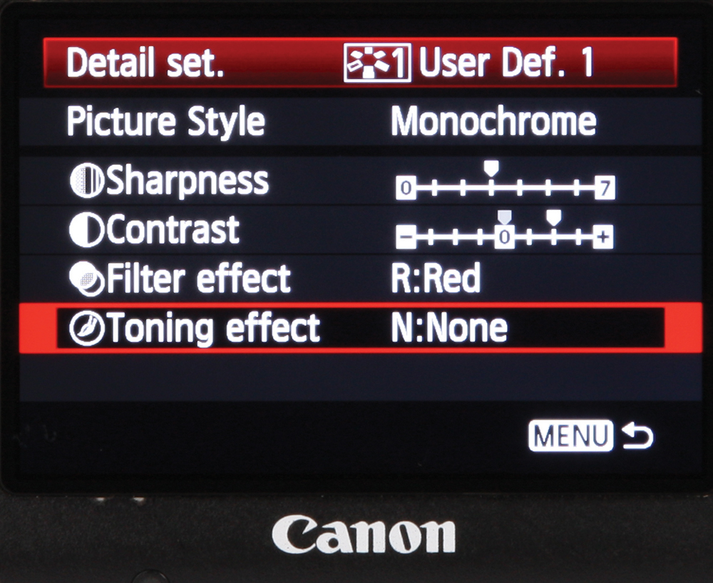 Master your camera understanding picture styles on your Canon DSLR