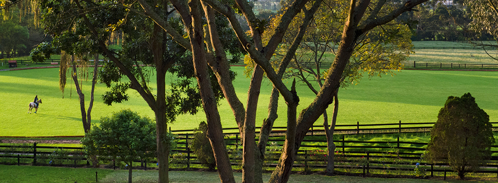 Michael-Freeman-landscapes-High-contrast-light