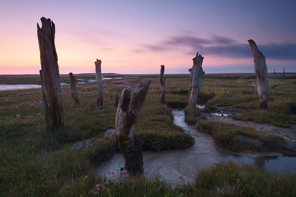 Thornham Summer-salt-marsh-Justin-Minns