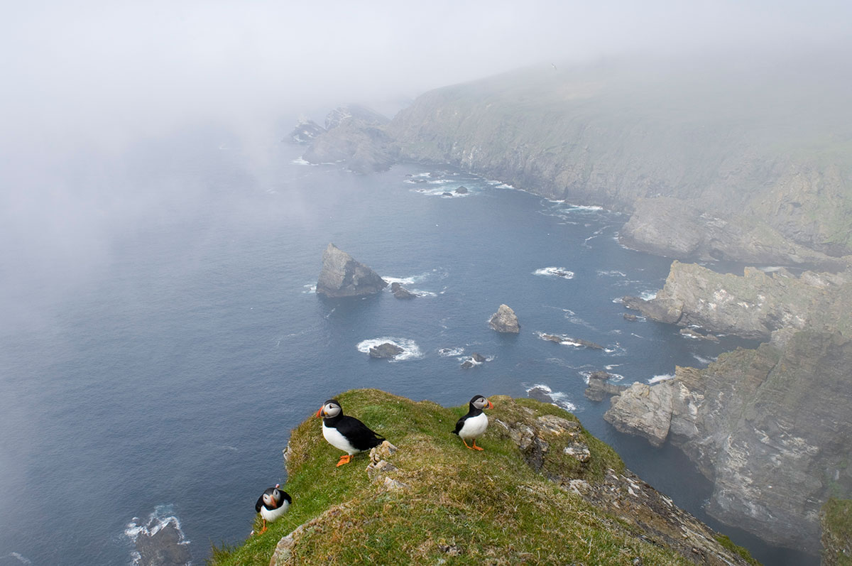 A summer fret, or fog, can create images with a wonderful atmosphere
