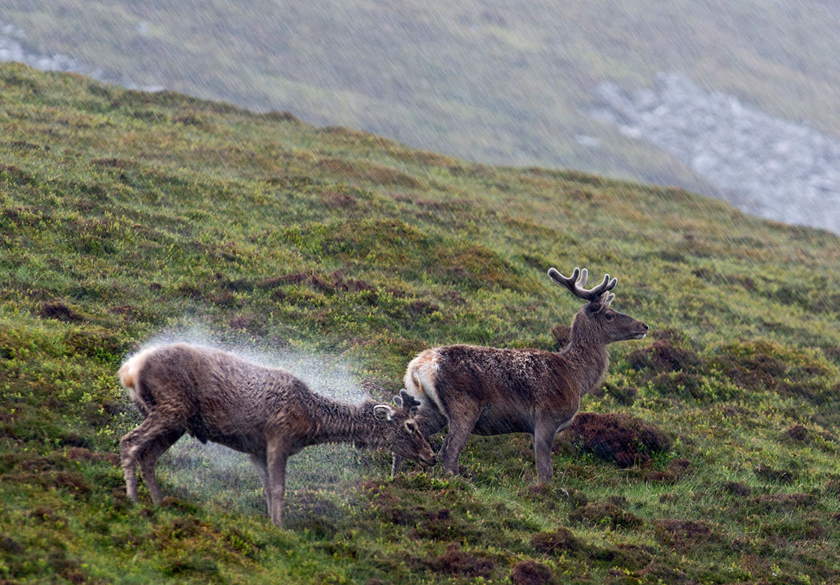 Make the most of the adverse conditions to get shots you normally wouldn't
