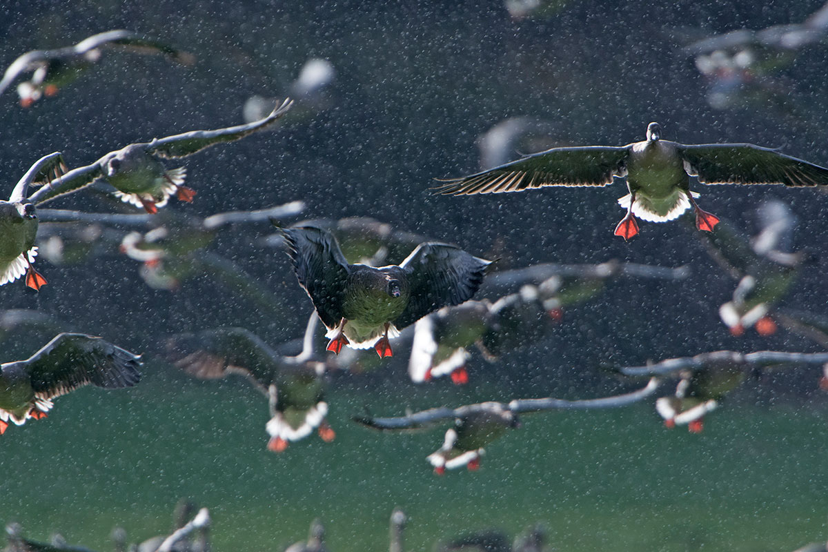 Don't wait inside - get out as conditions can add an extra element to your images