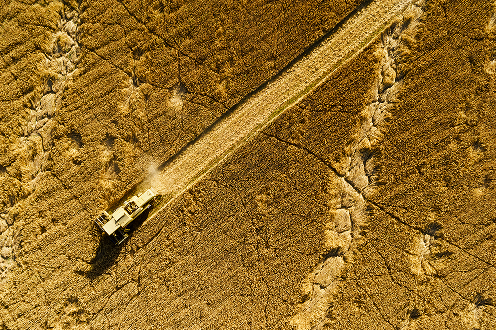 Anders_Andersson-sand
