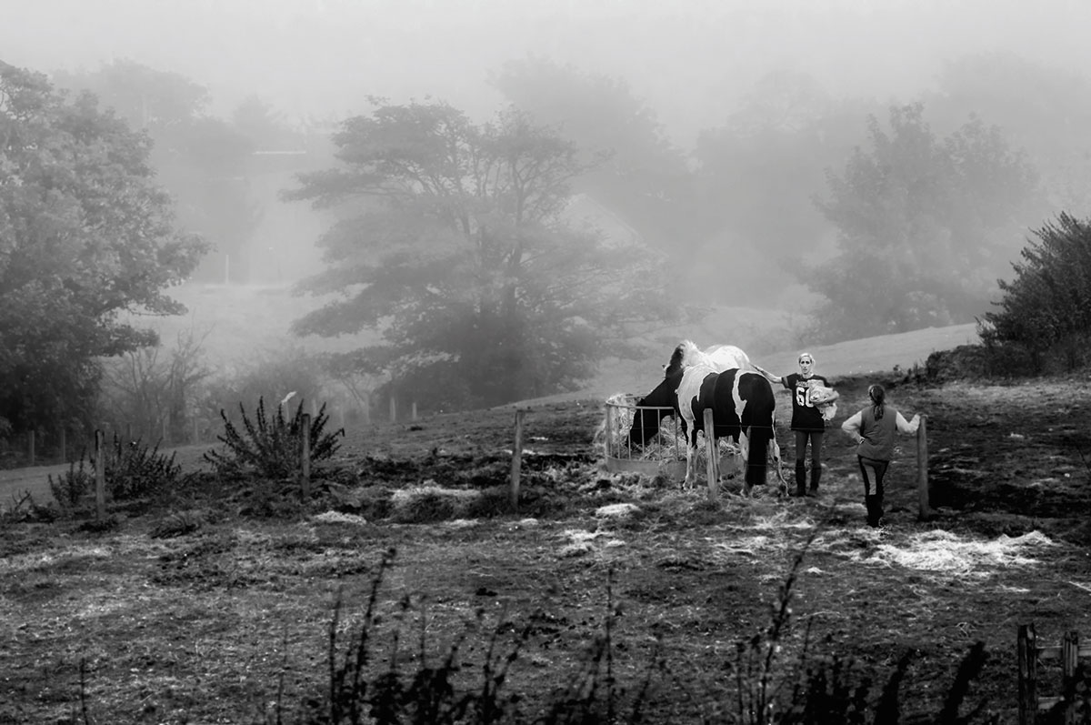 photo appraisal