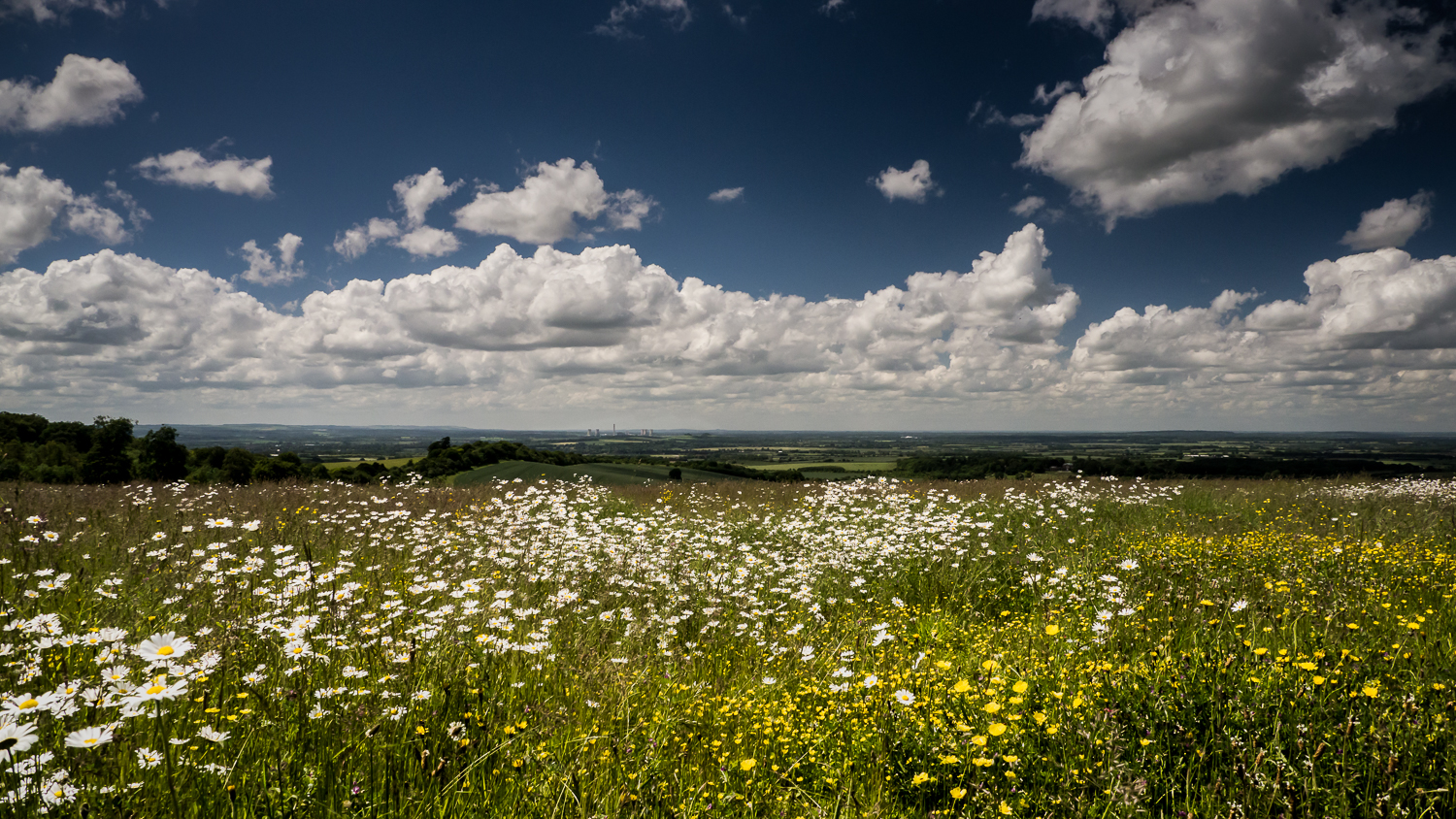 West from Britwell Hill © Martyn James Bull 2016. All rights reserved.
