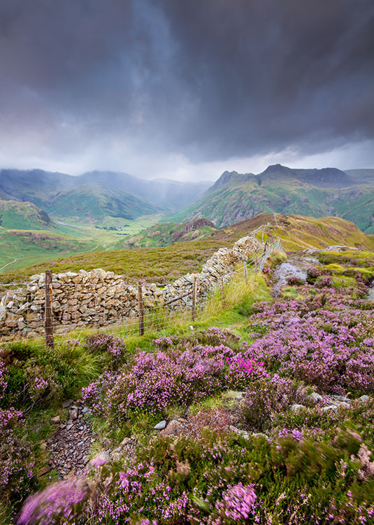Don't be put off by the rain - camping can provide shelter from the elements