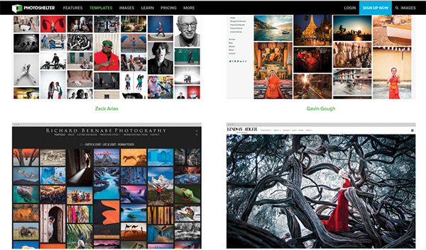 The various software packages all offer different template options