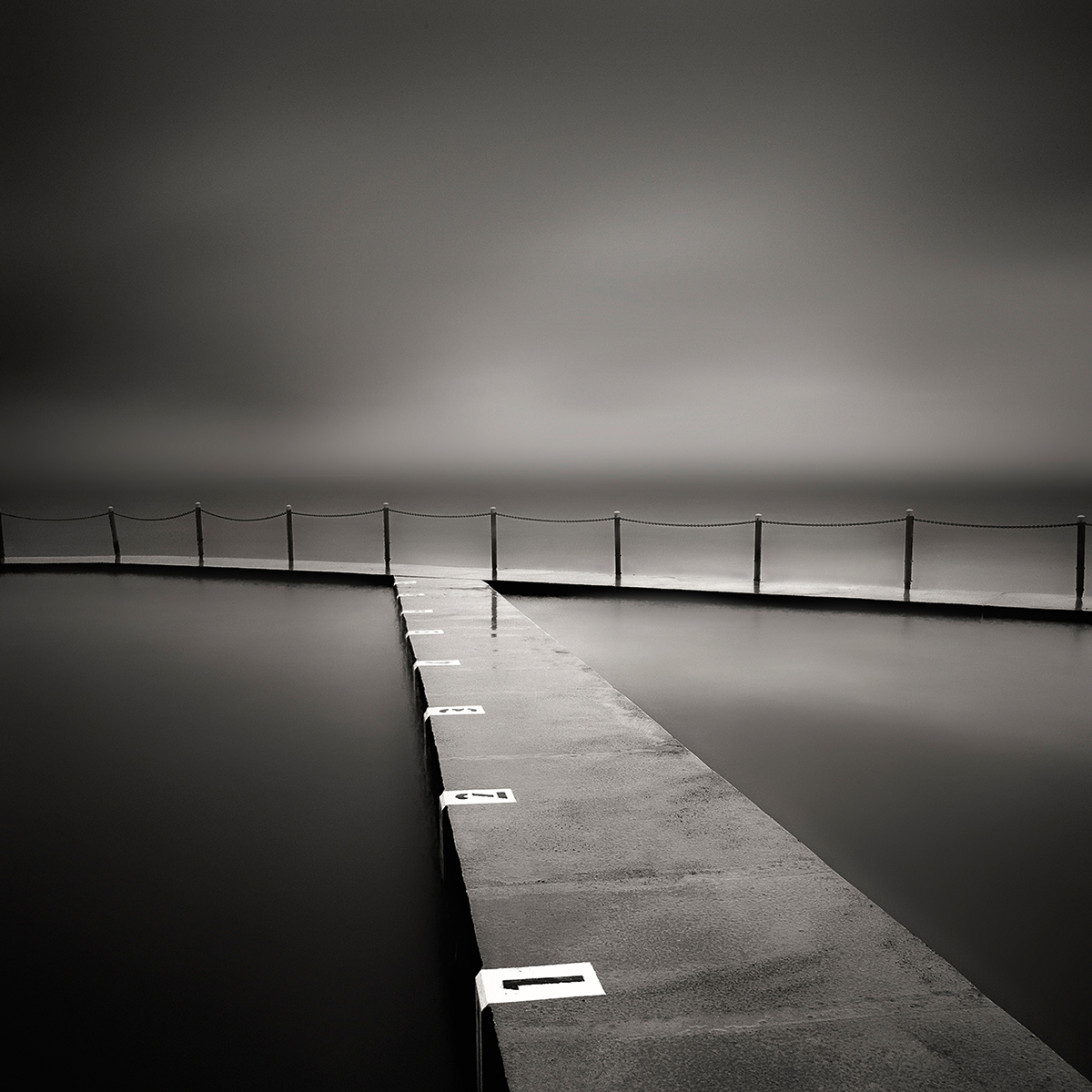 Lane Swimming by Sue Brown