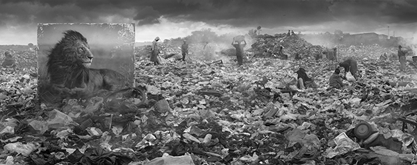 Wasteland with Lion, 2015