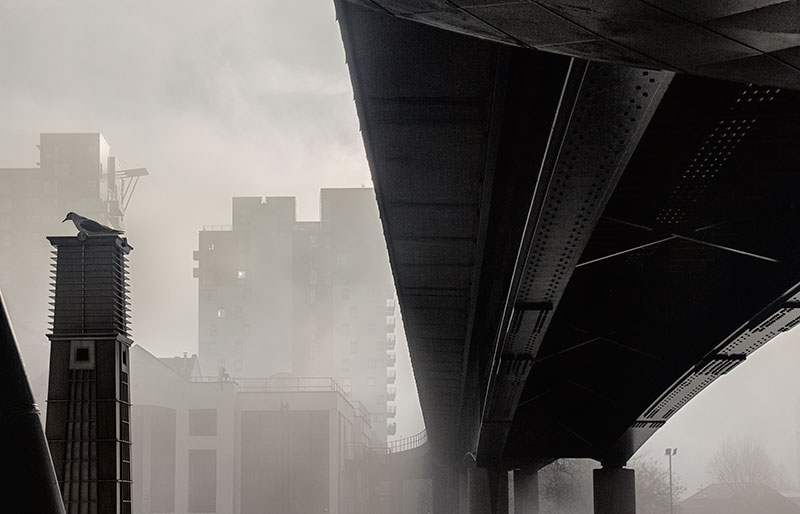 Landscapes and Cityscapes