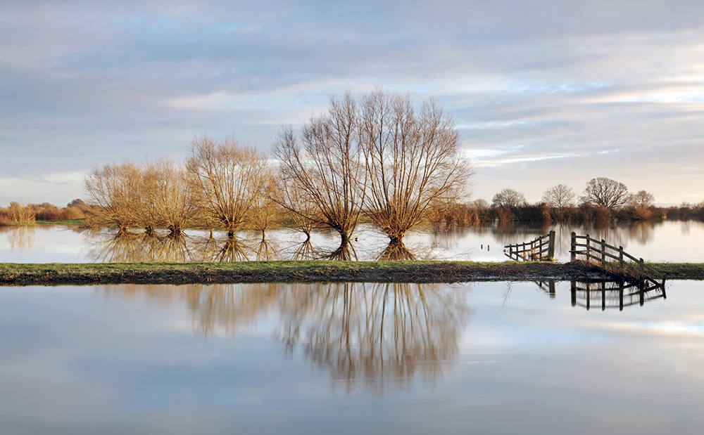 LPOTY Langport Somerset Tony Gill