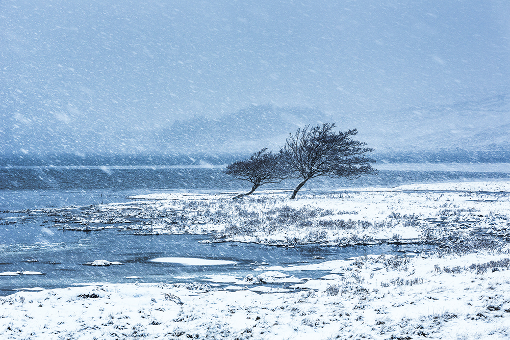 LPOTY Loch Tulla Fortunato Gatto