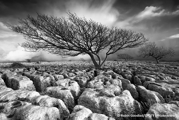 Defiance, Whinberry Crags, Cumbria, England