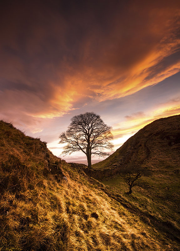 Landscapes and Cityscapes
