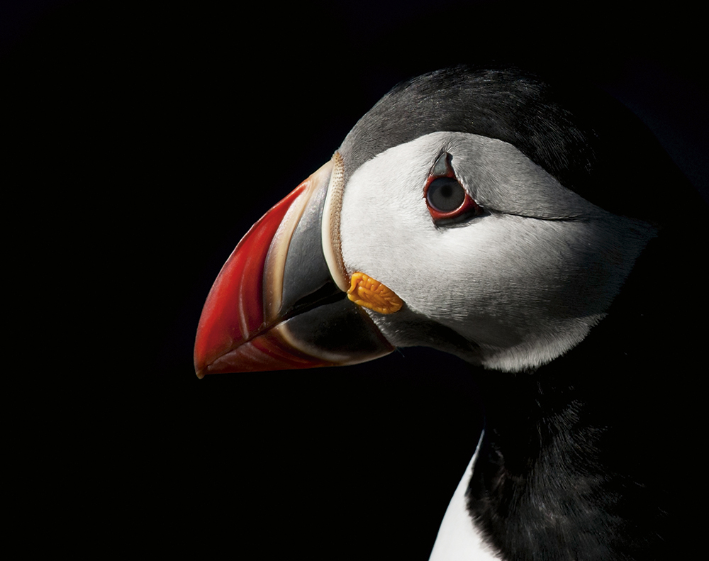 One Million Photographers John-Moncrieff-UK