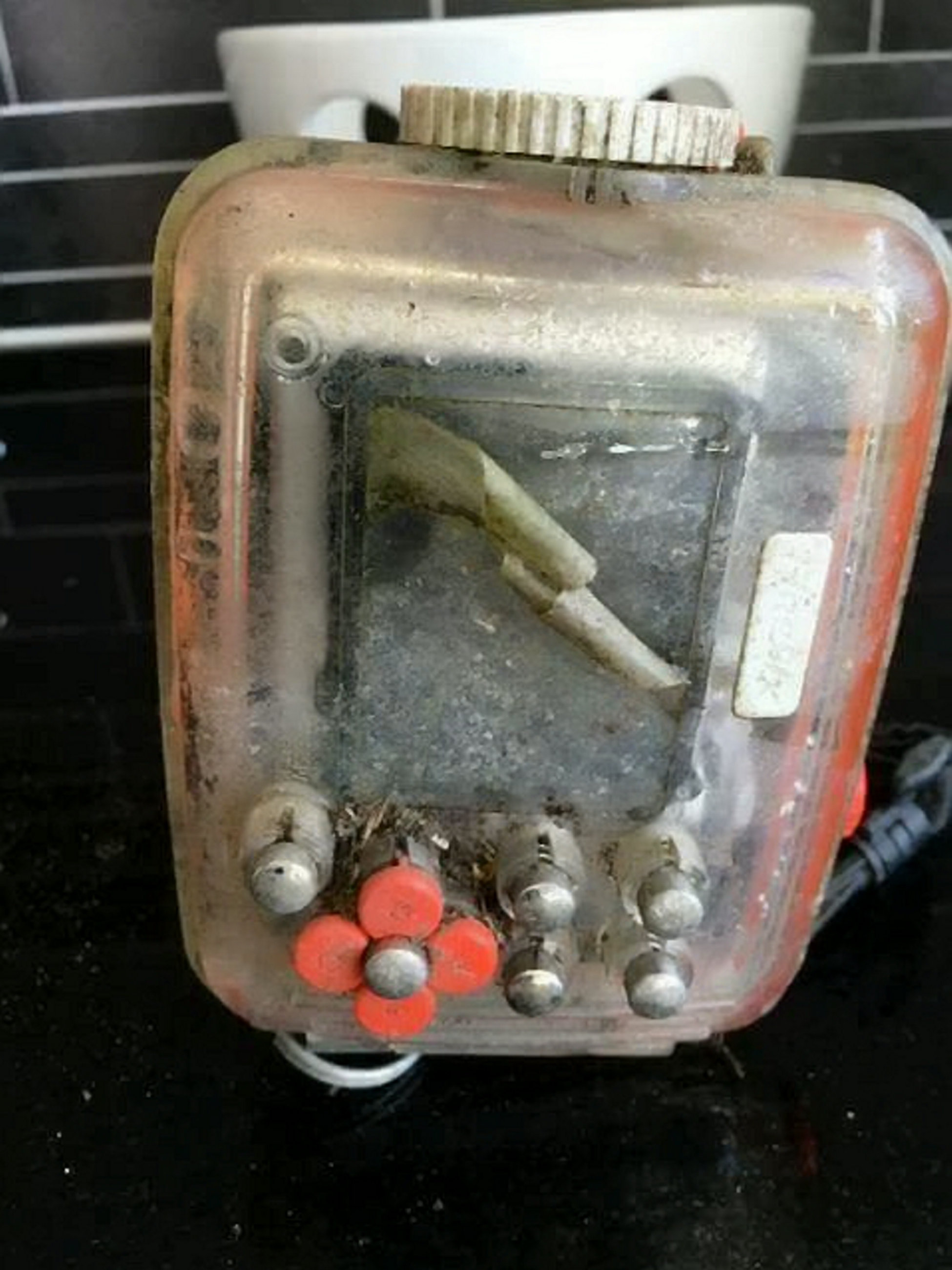 Adele Devonshire's camera as it was found by Lars Mossberg. Source: SWNS