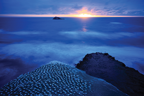 Muriwai, New Zealand. Live view is useful for composing landscape scenes, especially in low light when the image on the screen is easier to see than that through the viewfinder. Canon EOS 5D Mark II, EF 17-40mm f/4L at 29mm, 30 seconds @ f/8, ISO 100