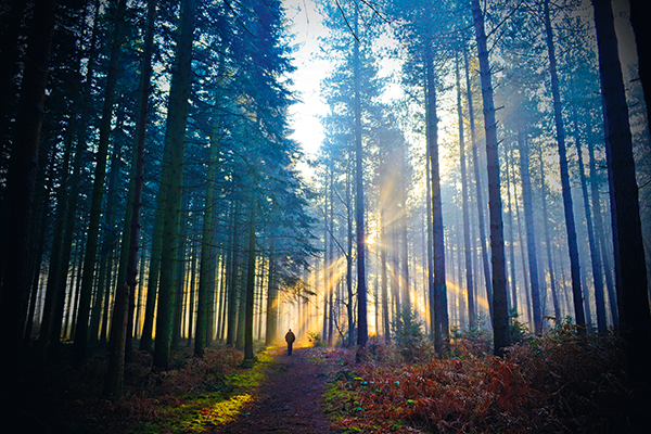 Jon’s shot of Sandringham Country Park one January morning